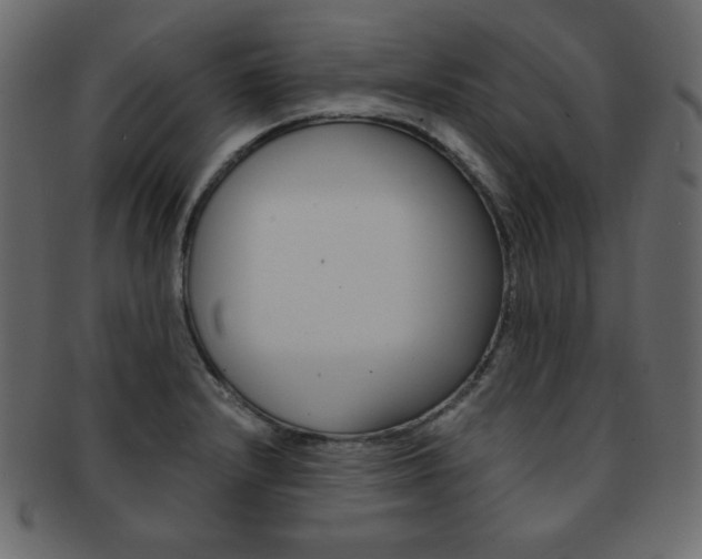 X0000093151232200709261010