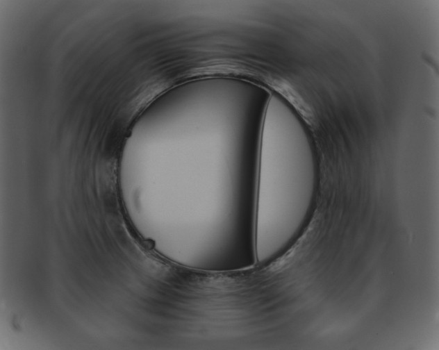 X0000093151233200709261010