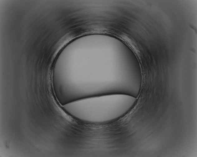 X0000093151235200709261010
