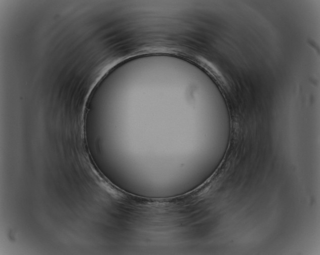 X0000093151236200709261010
