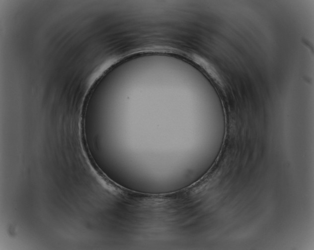 X0000093151237200709261010