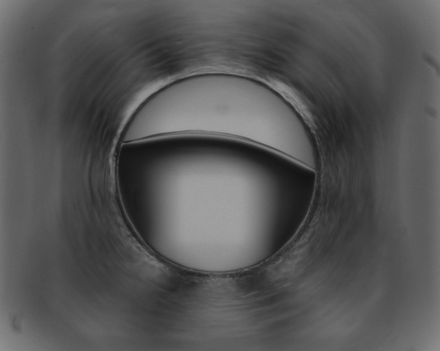 X0000093151238200709261010