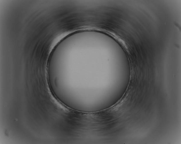 X0000093151239200709261010