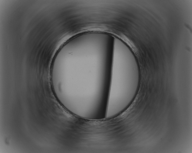 X0000093151240200709261010