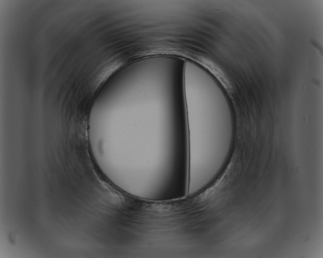 X0000093151241200709261010