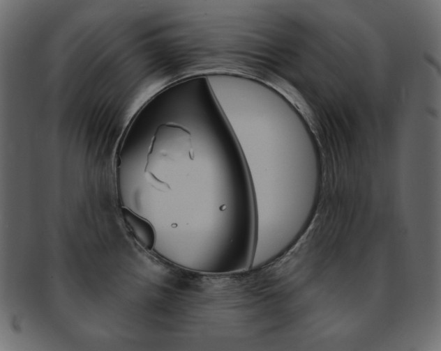 X0000093151242200709261010