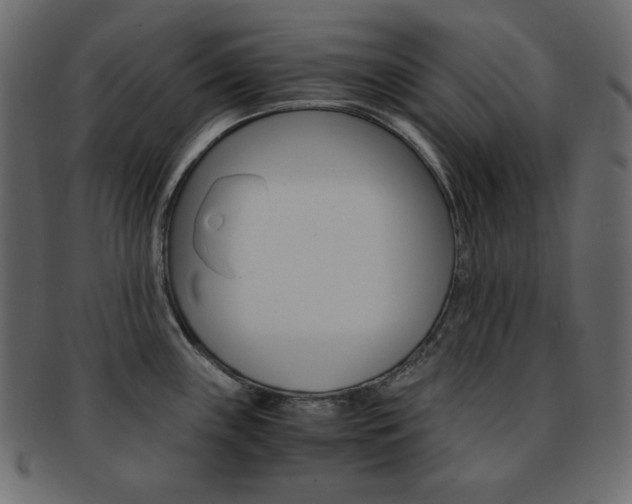 X0000093151243200709261010