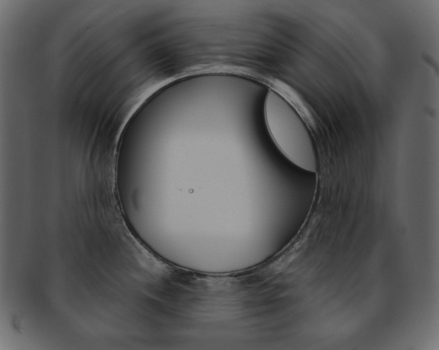 X0000093151244200709261010