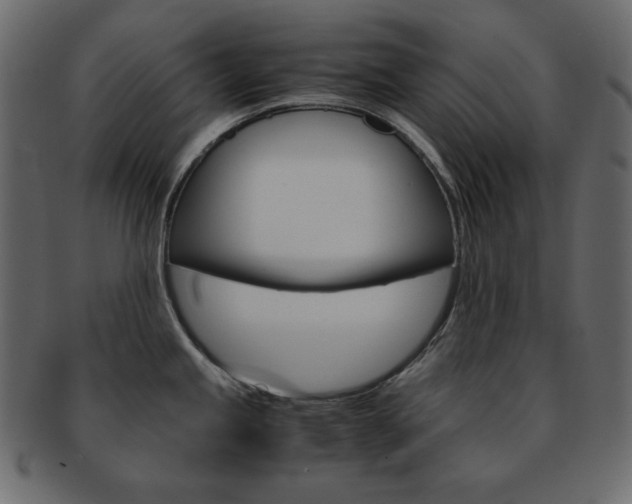 X0000093151245200709261010