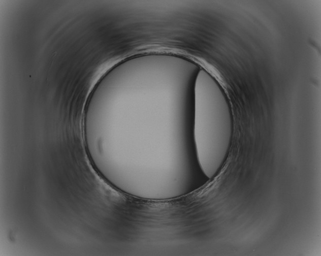 X0000093151247200709261010
