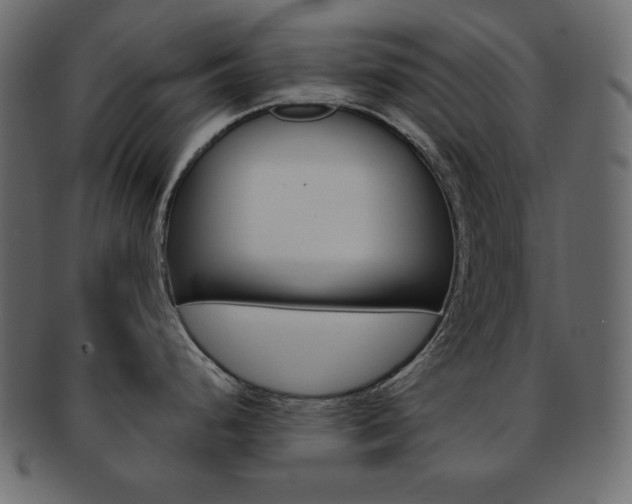X0000093151248200709261010
