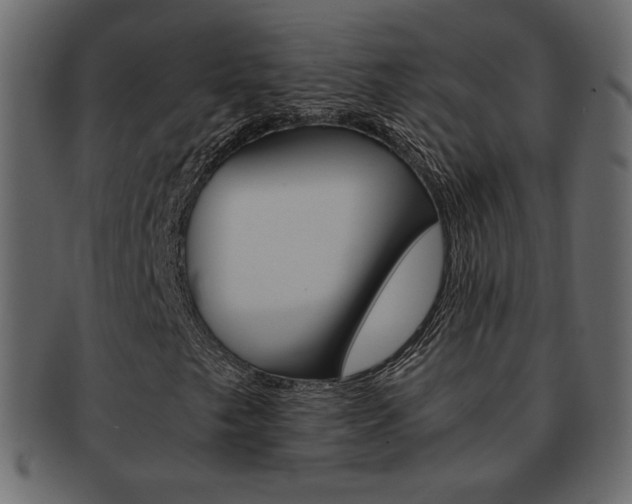 X0000093151249200709261009