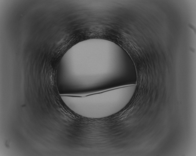 X0000093151250200709261009