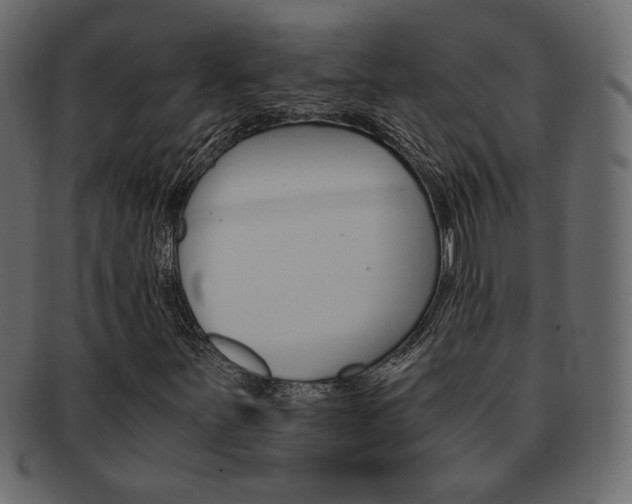 X0000093151251200709261009