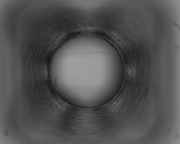 X0000093151252200709261009