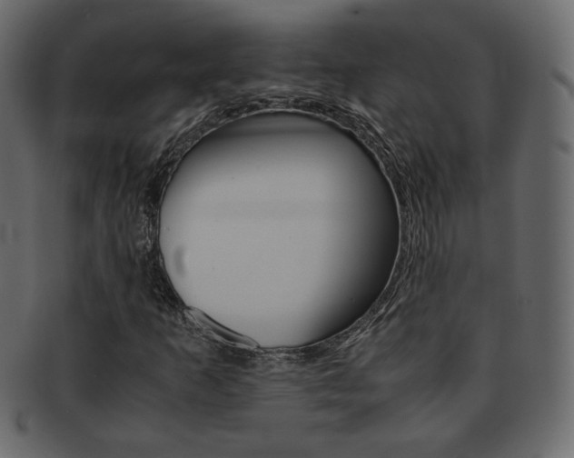 X0000093151253200709261009