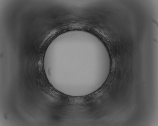 X0000093151254200709261009