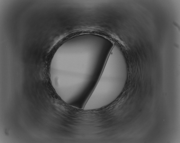 X0000093151256200709261009