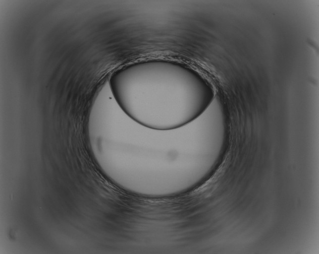 X0000093151257200709261009