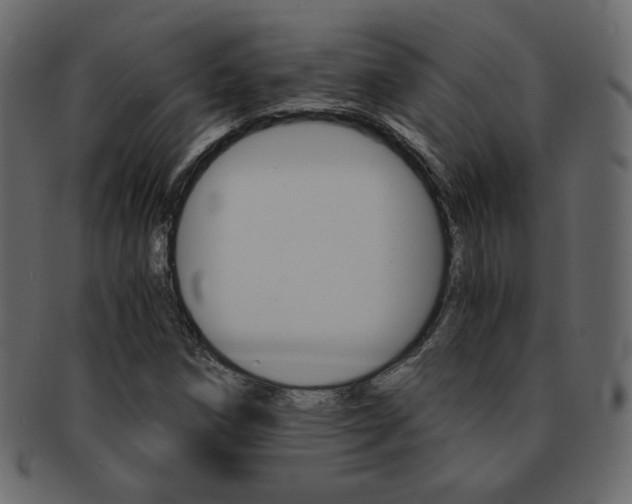 X0000093151258200709261009