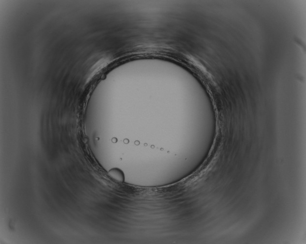 X0000093151259200709261009