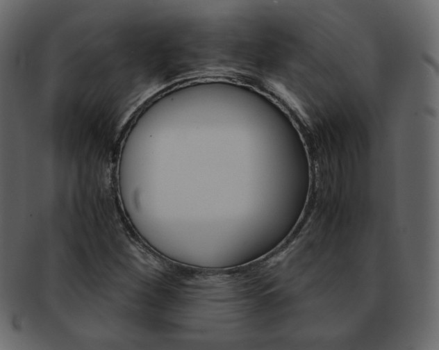 X0000093151260200709261009