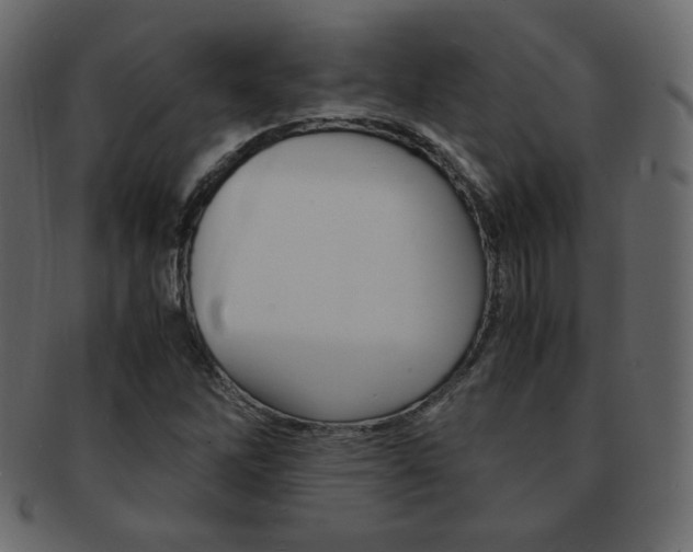 X0000093151262200709261009