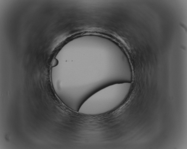 X0000093151263200709261009