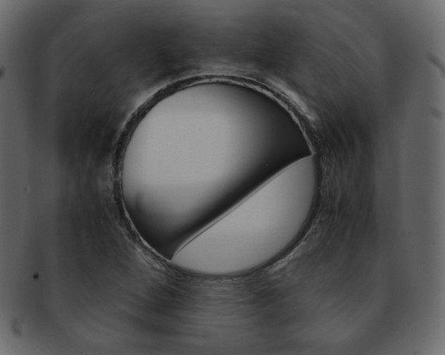 X0000093151264200709261009