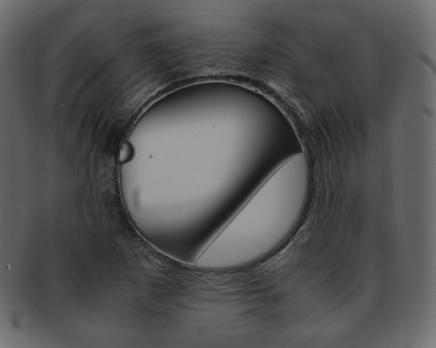 X0000093151265200709261009