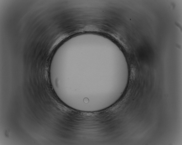 X0000093151266200709261009