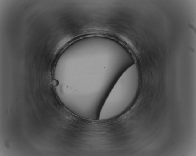 X0000093151267200709261009