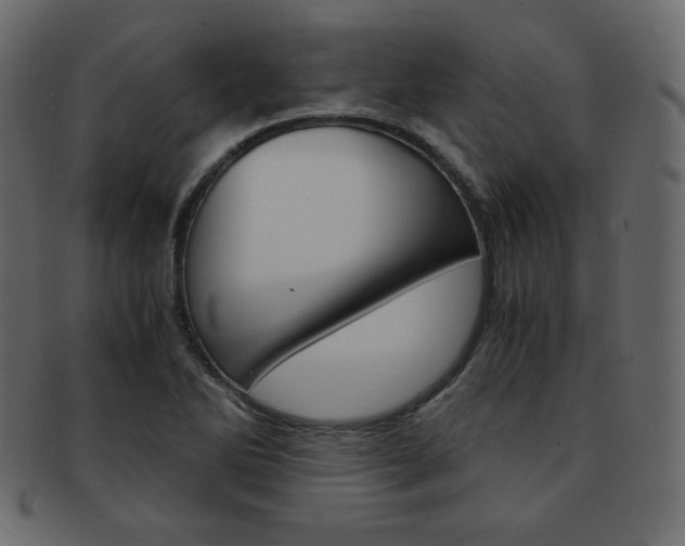 X0000093151270200709261009
