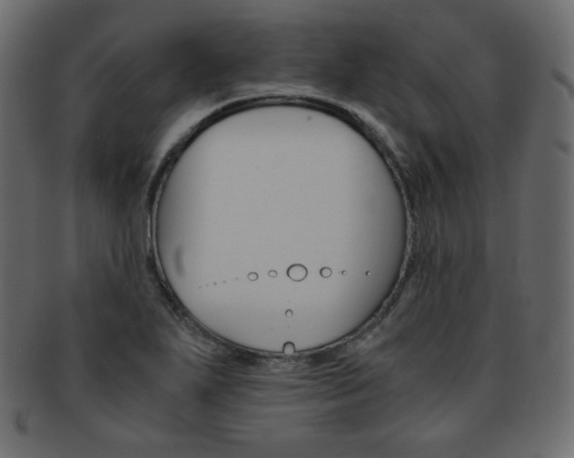 X0000093151271200709261009