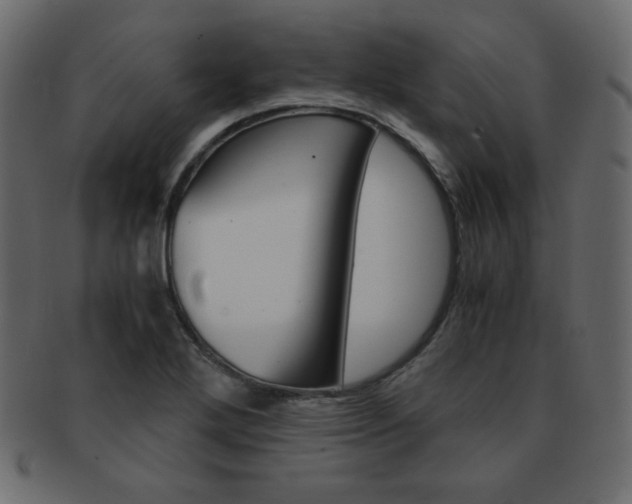 X0000093151272200709261009