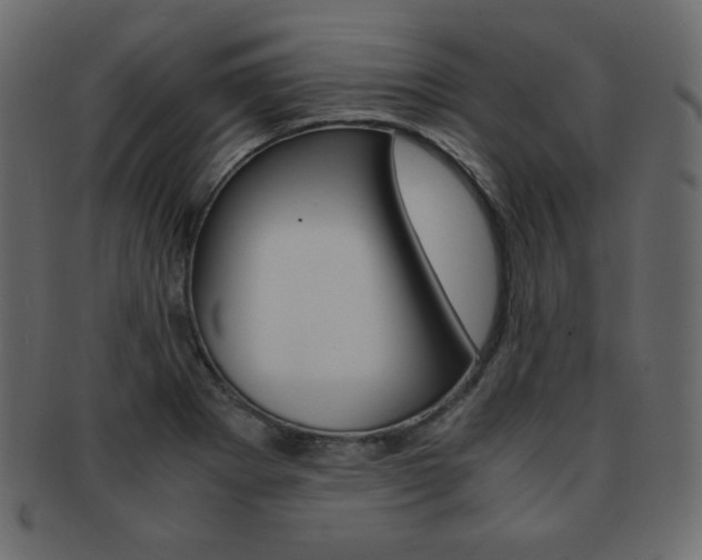 X0000093151273200709261009