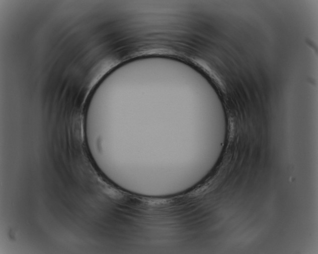 X0000093151274200709261009