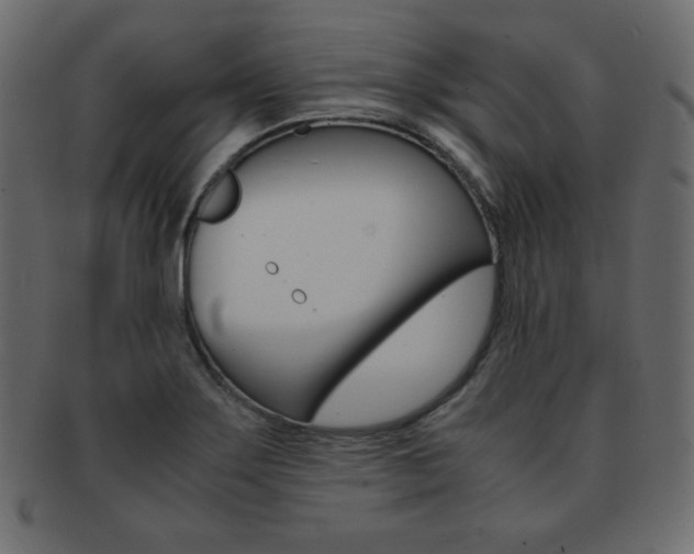 X0000093151275200709261009