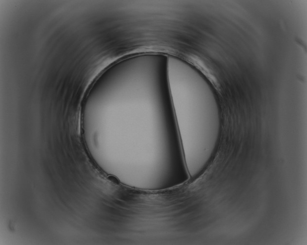 X0000093151276200709261009
