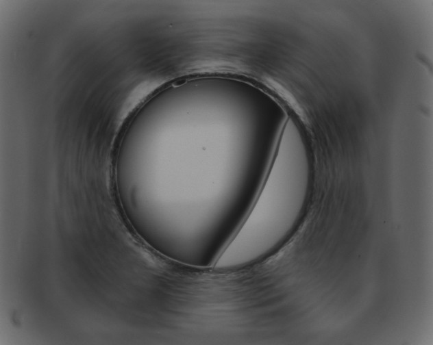 X0000093151277200709261009