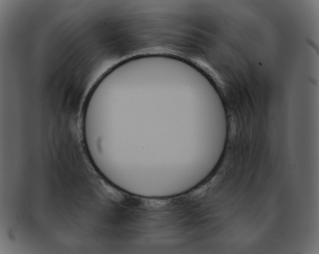 X0000093151278200709261009