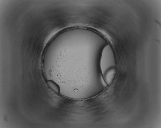 X0000093151279200709261009