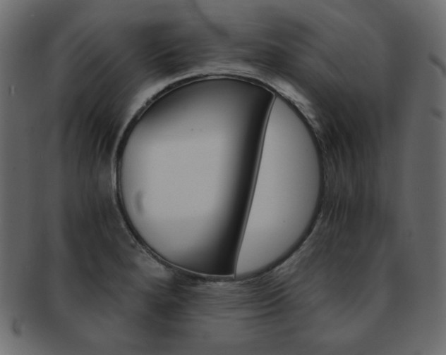 X0000093151280200709261009