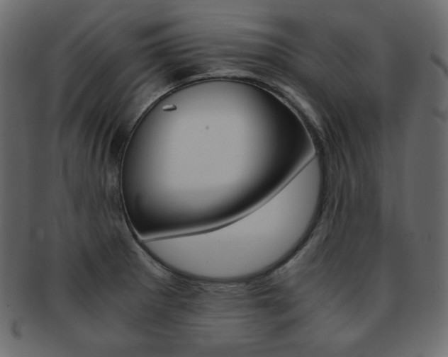 X0000093151281200709261009