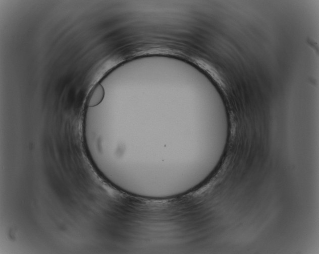 X0000093151282200709261009