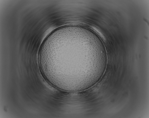 X0000093151283200709261009