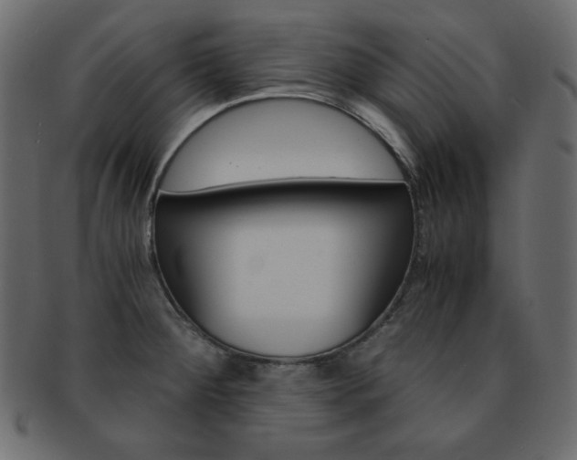X0000093151284200709261009