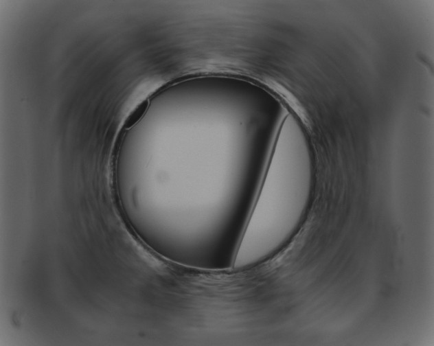 X0000093151285200709261009