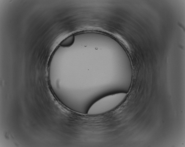 X0000093151287200709261009