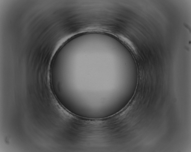 X0000093151288200709261009